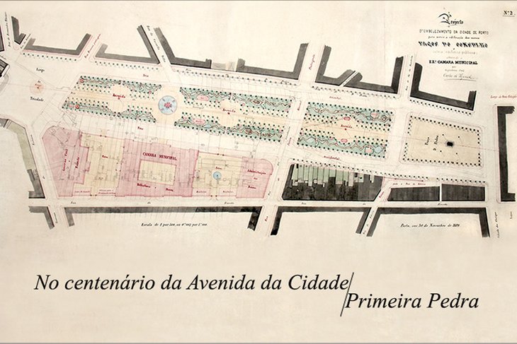 centenario_avenida.jpg