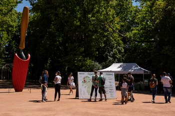 Serralves em Festa está de volta após três anos de ausência forçada